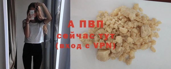 PSILOCYBIN Баксан