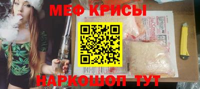 спиды Гай