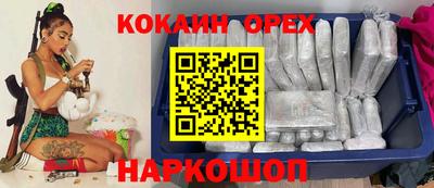 спиды Гай