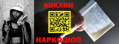 спиды Гай