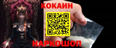 спиды Гай