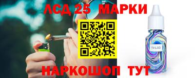 спиды Гай