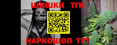 спиды Гай