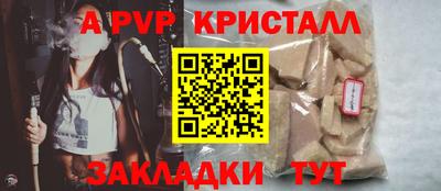спиды Гай