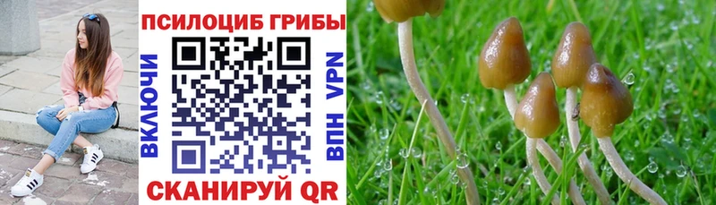 как найти   Рыбинск  Псилоцибиновые грибы мухоморы 