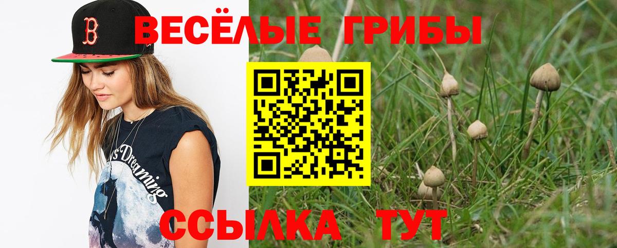Псилоцибиновые грибы Psilocybe  Вход с VPN  Рыбинск  Галлюциногенные грибы мухоморы 