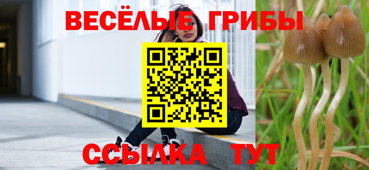 Псилоцибиновые грибы прущие грибы Рыбинск